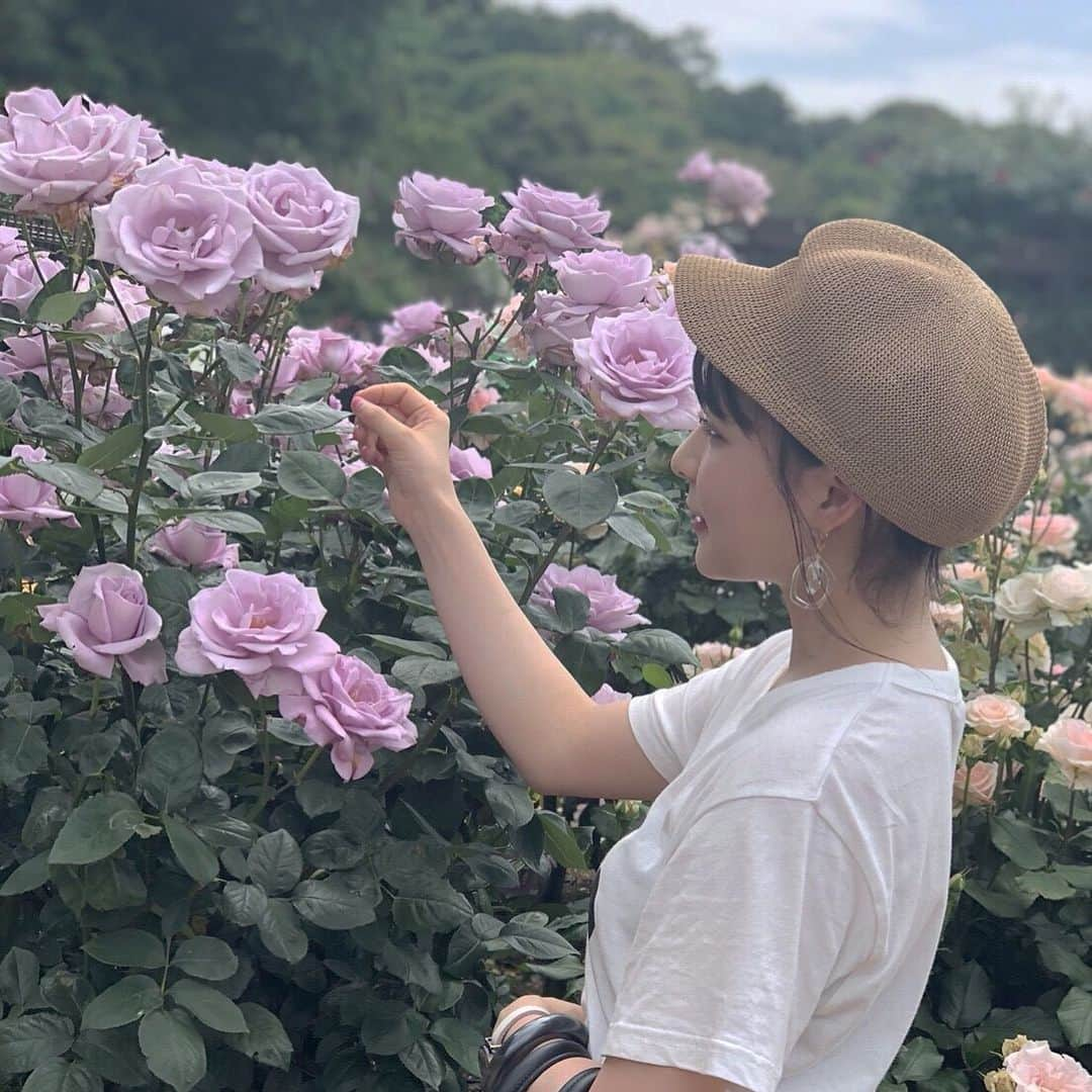 山本茉央のインスタグラム：「. . 薔薇フェア🌹🌹🌹 紫の薔薇が個人的に一番 好きだった💜💜💜 こんなに沢山あるんやって 思った！！！！ . . #薔薇 #紫 #赤 #白 #黄色 #ピンク  #❤️」