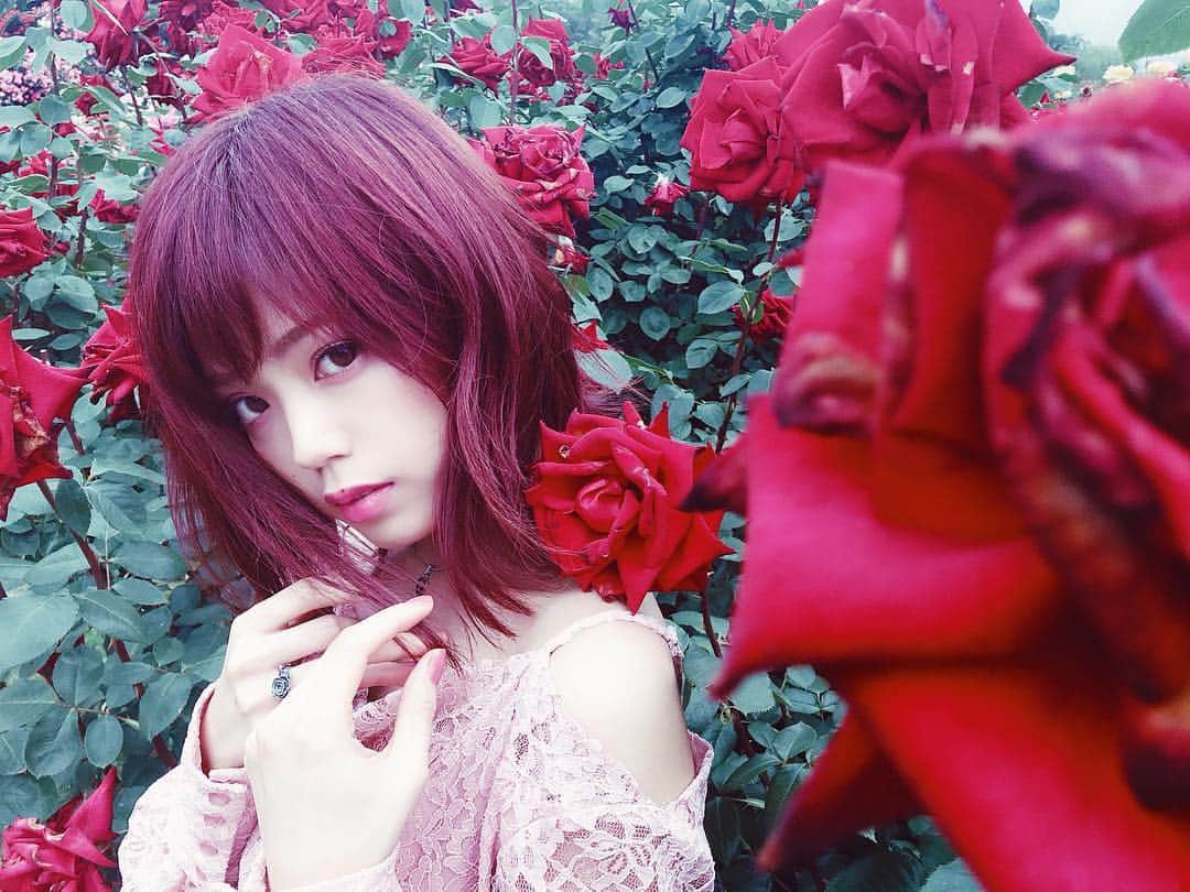 ハナエのインスタグラム