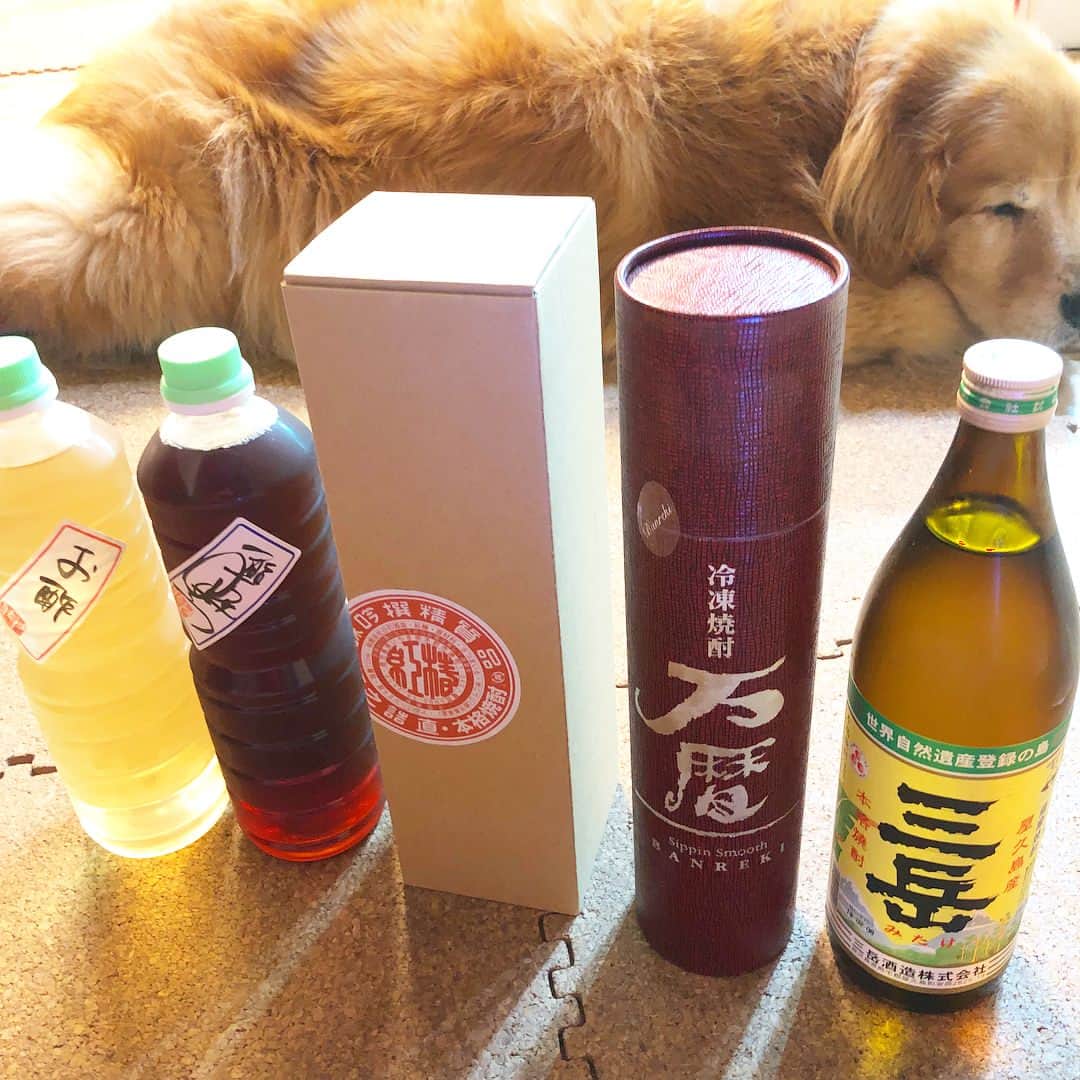 渡辺俊介のグルメインスタ