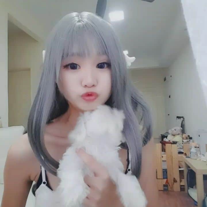 のインスタグラム：「Shiro never cooperate when taking photos or videos 🐶🐶😂 But still he is the cutest to me!  #baby #dog #love #maltese #japanese #like4like #life」