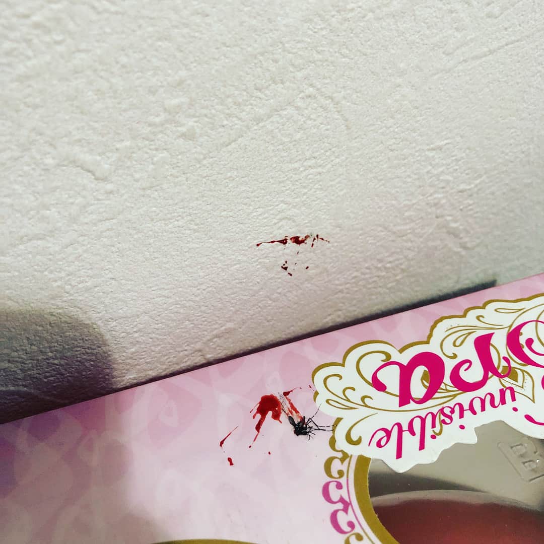 のインスタグラム：「まじむかつくんだけど 蚊に刺されたんだけど ぶち殺してやったけど」