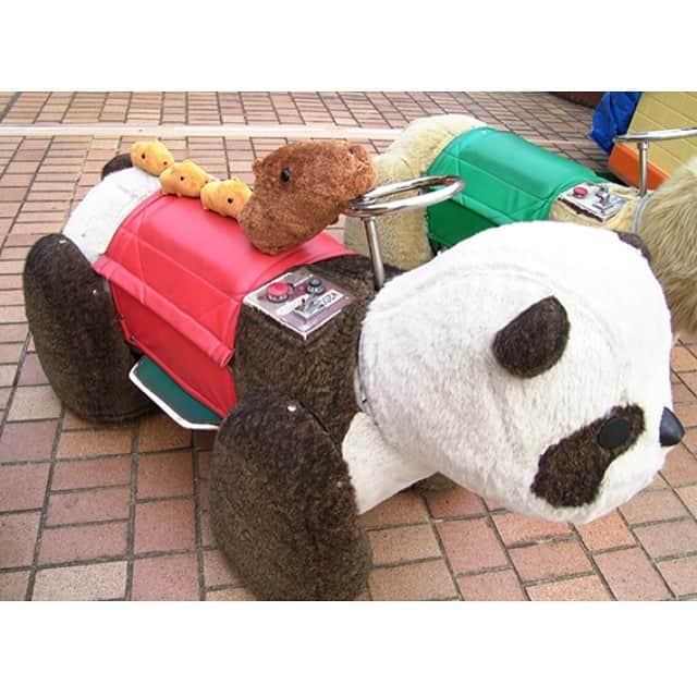 カピバラさんのインスタグラム：「‪れっつご〜ん‬ . ‪カピバラさんたちハンドル握って（？）どこへ行く気なんでしょう？‬ . #カピバラさん #カピバラさんと一緒 #水豚君  #KAPIBARASAN #パンダカー」