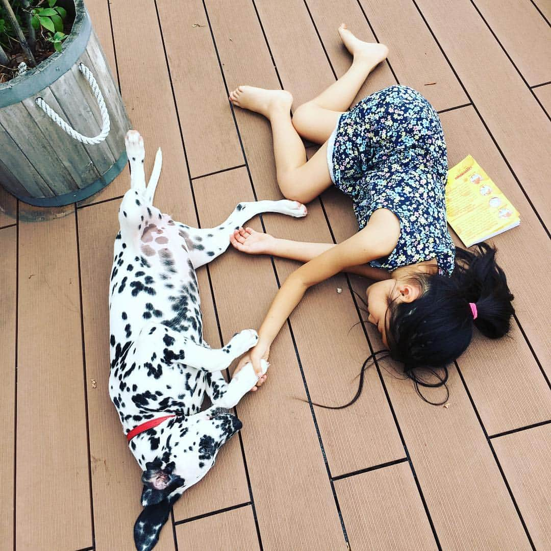 高岡早紀 さんのインスタグラム写真 - (高岡早紀 Instagram)「姉妹のようなふたり。。 #dalmatian #家族 #娘」5月19日 15時04分 - saki_takaoka