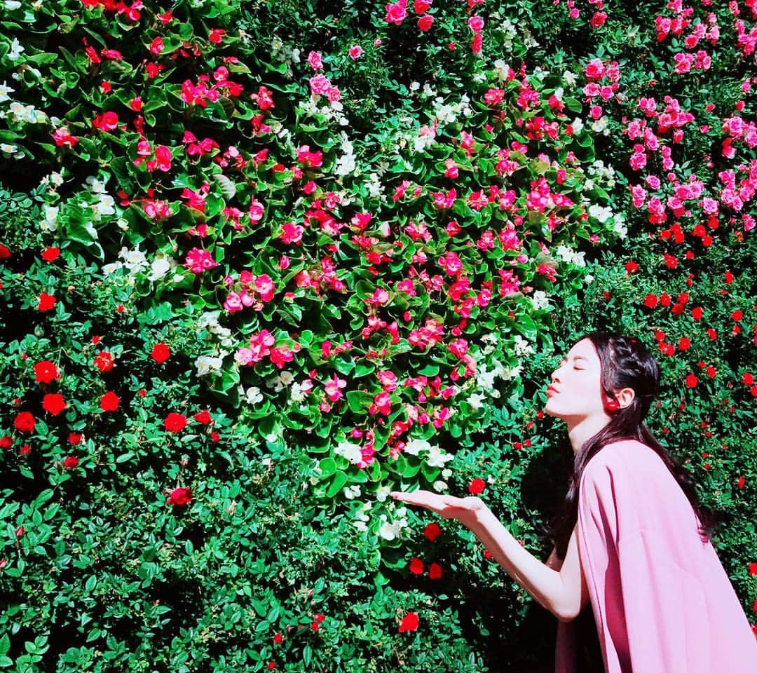 松井珠理奈さんのインスタグラム写真 - (松井珠理奈Instagram)「Love you❤❤❤ #flower  #🌼 #❤️ #ラグーナテンボス」5月19日 16時07分 - jurinamatsui3