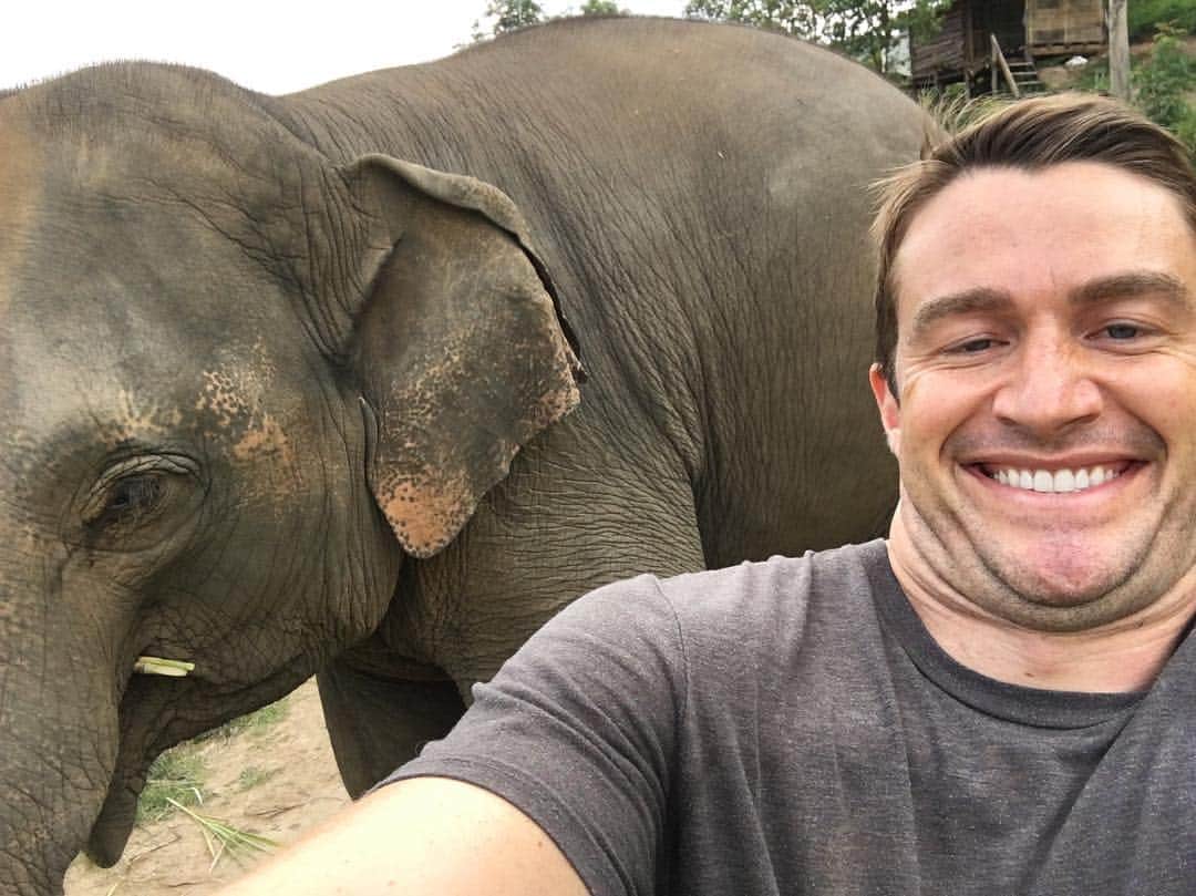 ロバート・バックリーのインスタグラム：「Horses in Thailand are huge.」