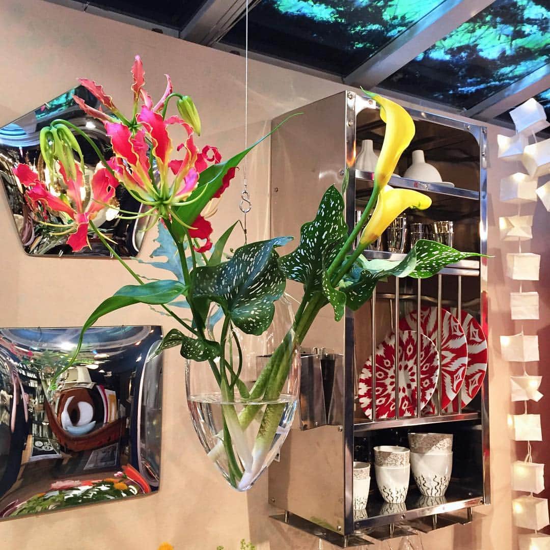 H.P.DECO リスディン ライト 【公式通販】