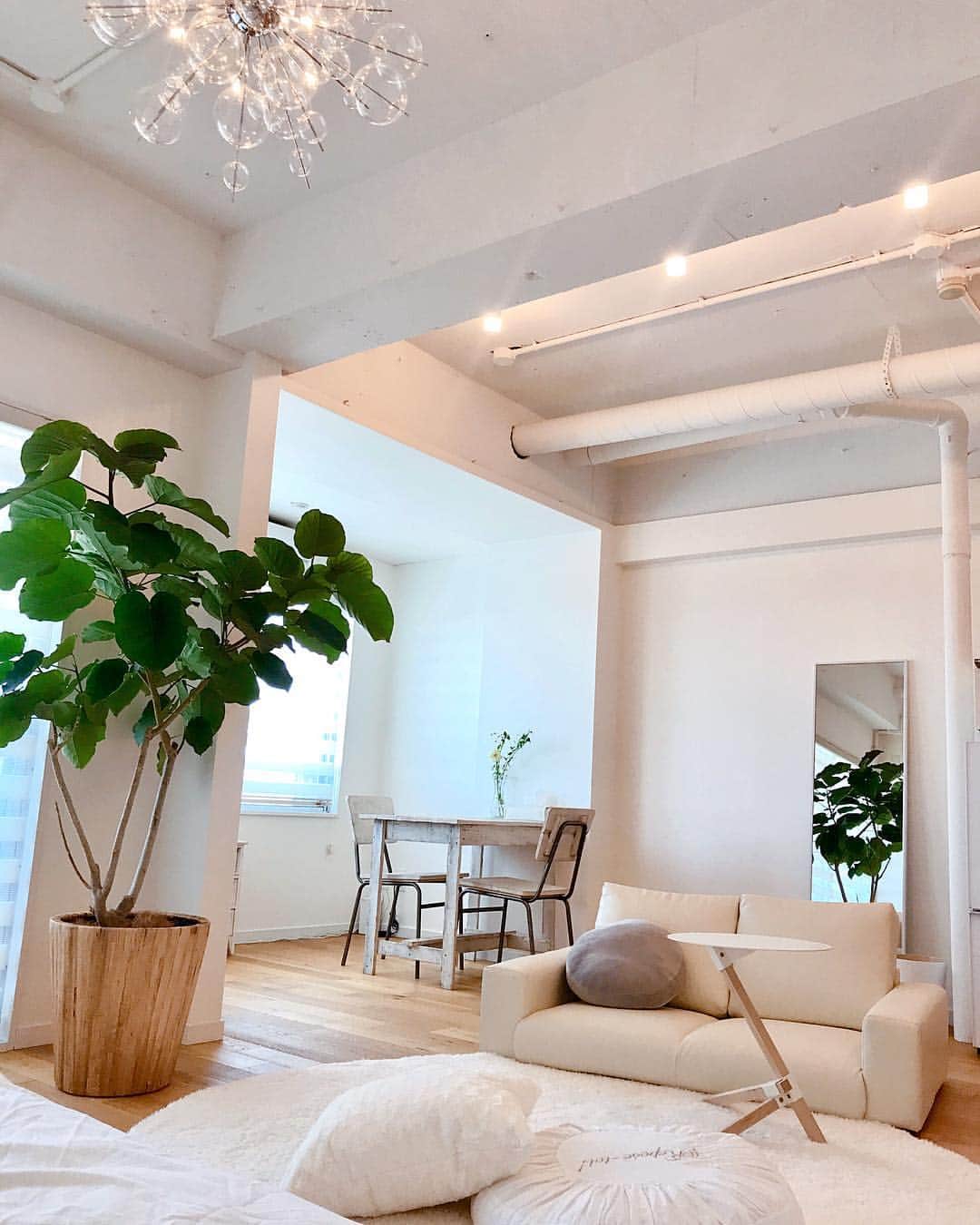 持永真実のインスタグラム：「. おはよう〜🌳 お家にソファとサイドテーブルがきた〜☺️ さて、走りに行って洗濯しようっと🕺🏻 いってきます🏃🏻‍♀️素敵な一日を💋 #まーみんち #楽天roomに載せてます」