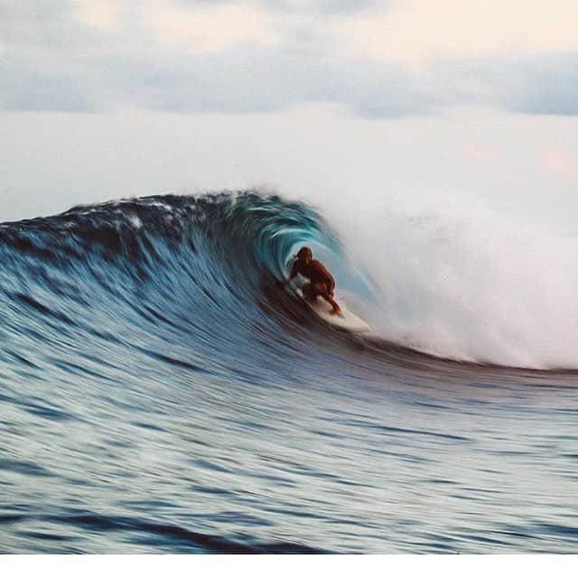 SURFING Magazineのインスタグラム：「@knostthankyou @surfer_magazine @grantellis1 repost #photooftheday」