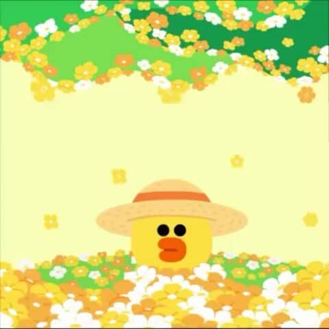 CHOCOのインスタグラム：「SALLY says: I like spring 😍🌱🌳🍃 @sally_.linefriends #linefriends #SALLY  #linespring」