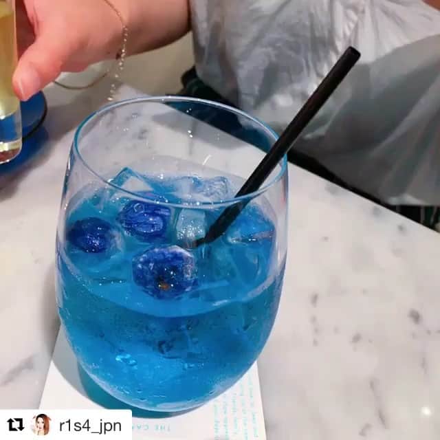 瀬口かなのグルメインスタ