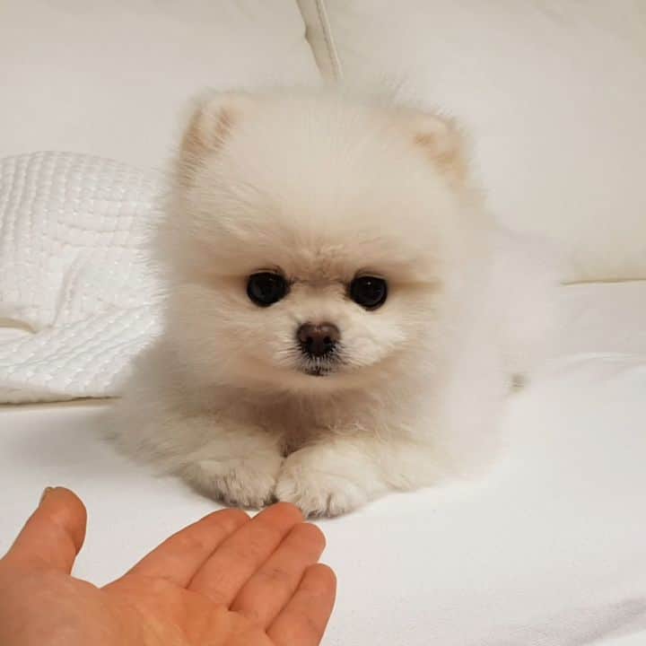 thesoy_yoonsoのインスタグラム