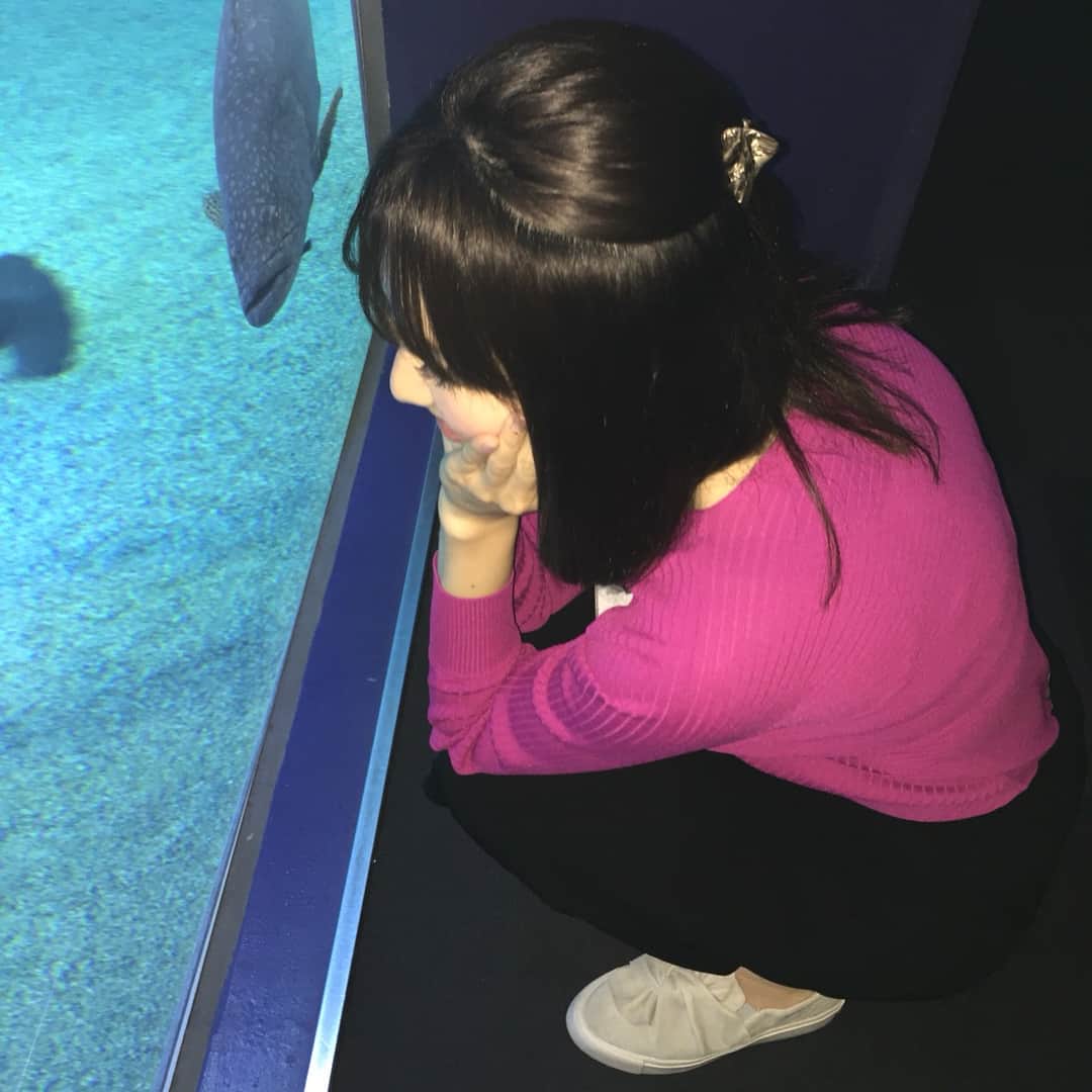 萩美香さんのインスタグラム写真 - (萩美香Instagram)「仕事そっちのけ。 #水族館大好き  #クラゲ大好き  #クラゲになりたい」4月27日 14時50分 - mika_hagi927