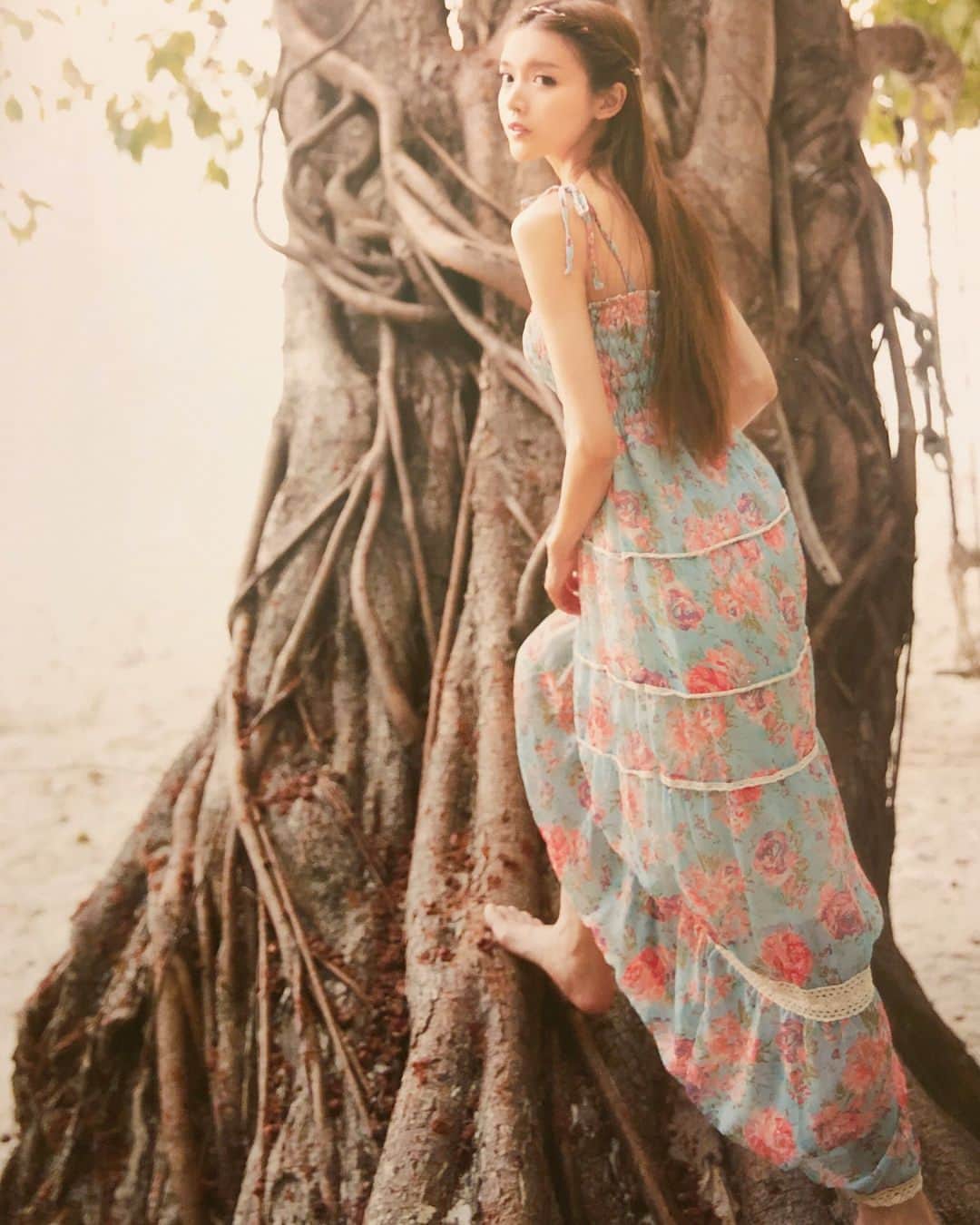 アンナ・ケイさんのインスタグラム写真 - (アンナ・ケイInstagram)「🌴#trees #tree #樹的夢」4月28日 3時35分 - annakay_47