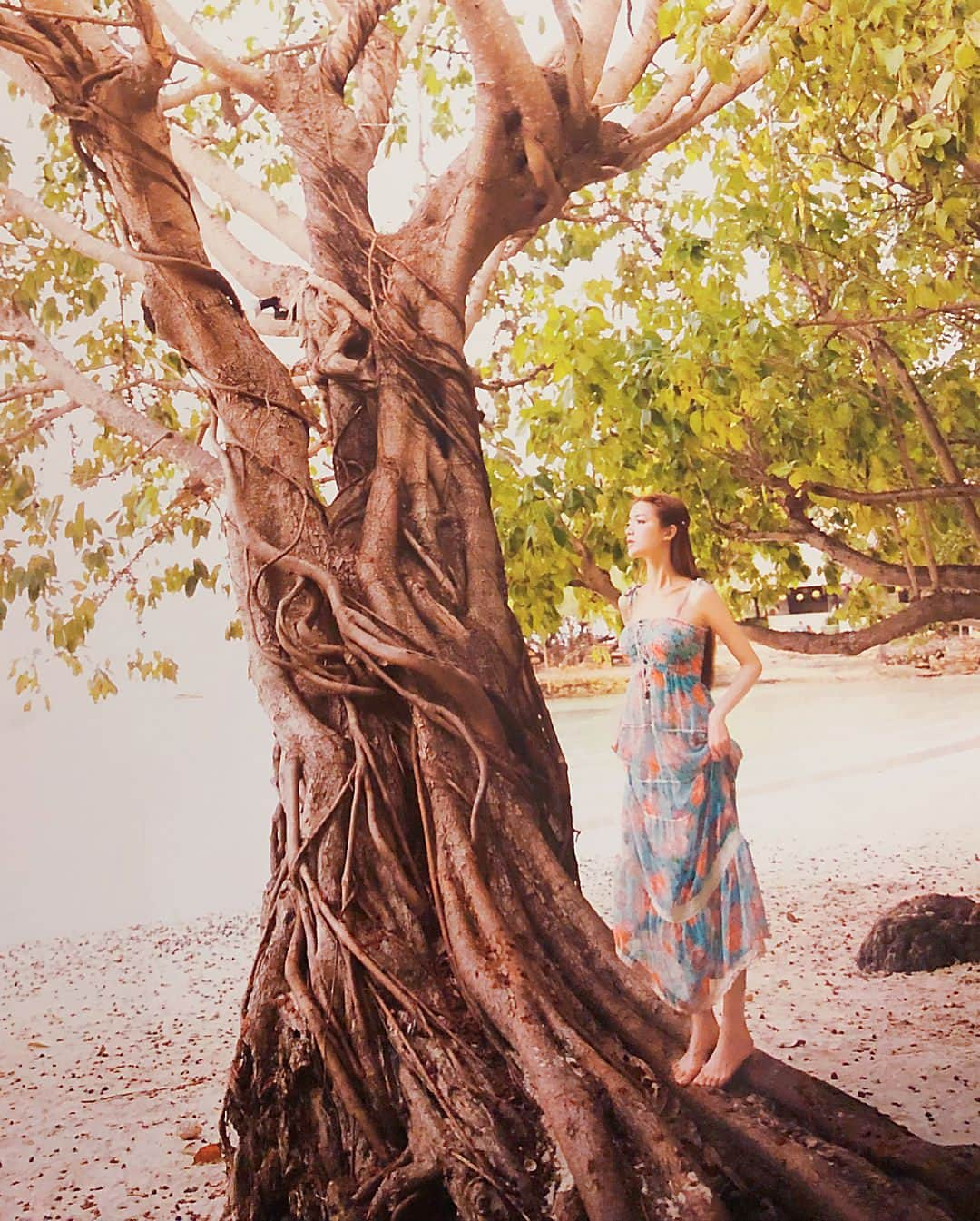 アンナ・ケイさんのインスタグラム写真 - (アンナ・ケイInstagram)「🌴#trees #tree #樹的夢」4月28日 3時35分 - annakay_47