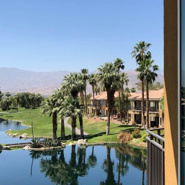 石倉洋子のインスタグラム：「This is the view from terrace of the room at Palm Desert where I do many things.」