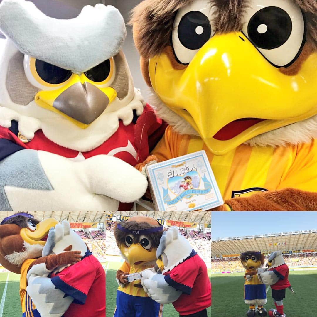 ドーレくんのインスタグラム：「2018.4.28  ユアテックスタジアム仙台へ遠征🦉🎒」