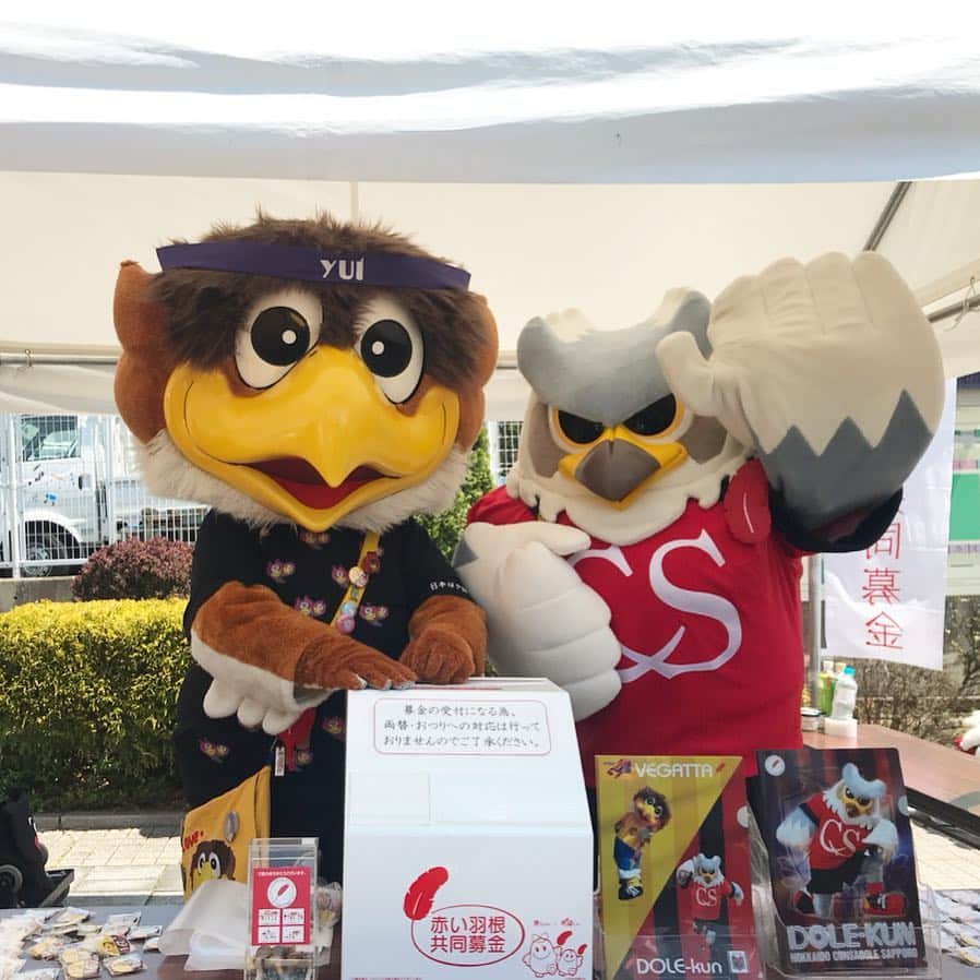 ドーレくんのグルメインスタ