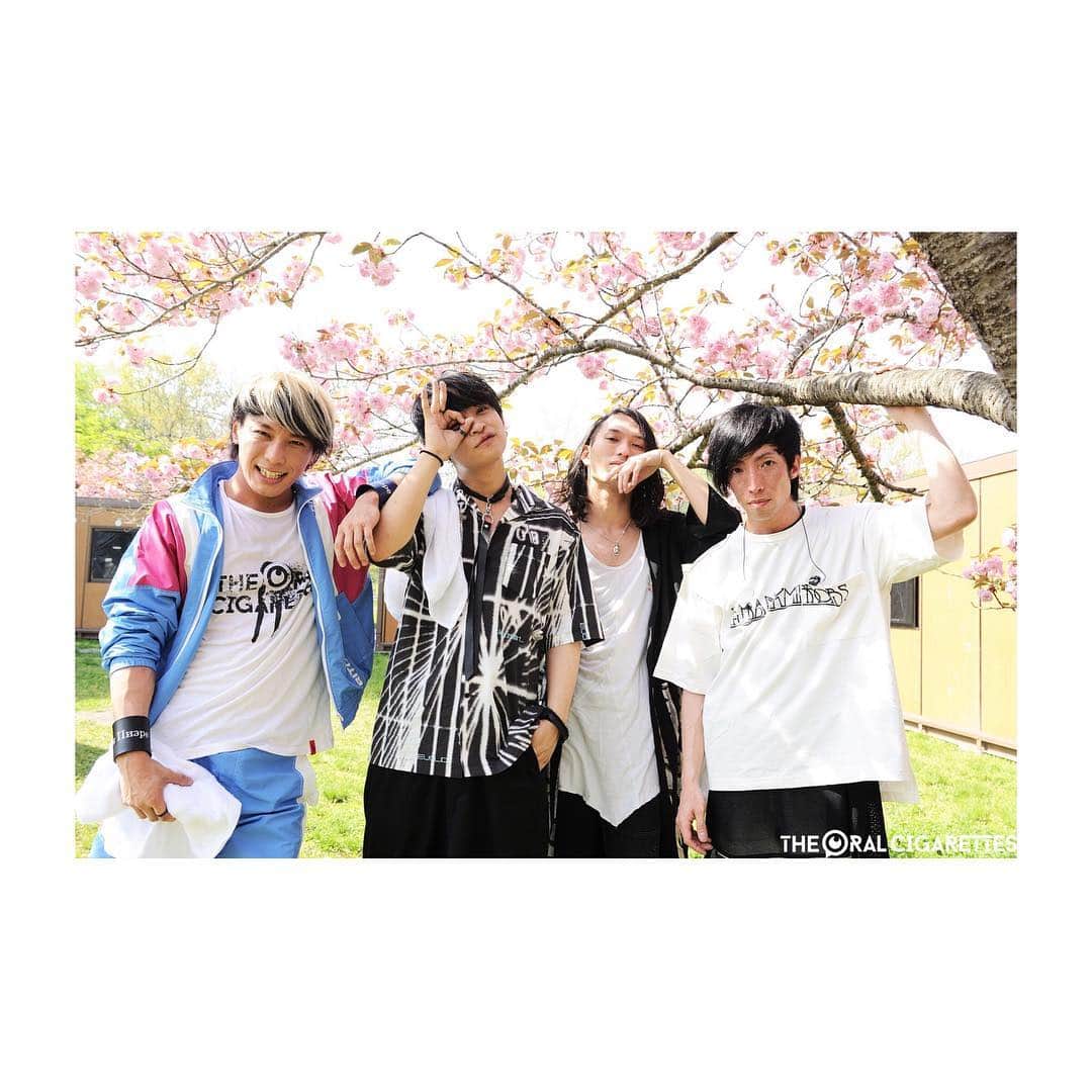 あきらかにあきらさんのインスタグラム写真 - (あきらかにあきらInstagram)「#股の間から #マネージャー #すぎぶちさん #ひょっこりはん  📸 @masafuji93」4月30日 12時30分 - akrknakr