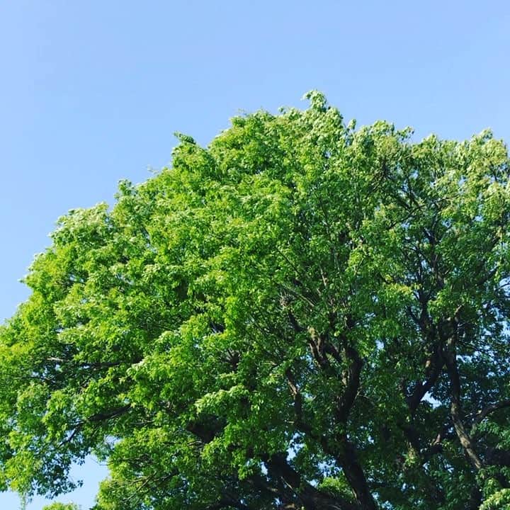 塚田文のインスタグラム