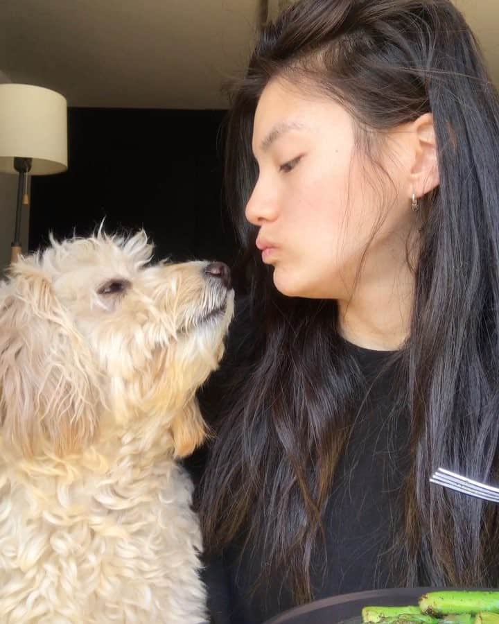 キム・ヨンジのインスタグラム：「Perfect together🐾」