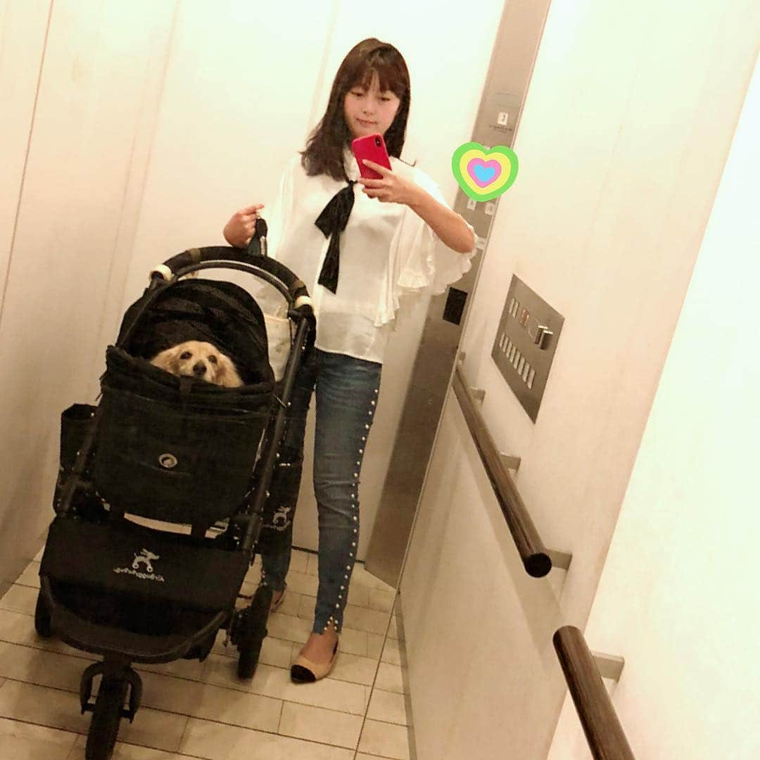 山下莉奈さんのインスタグラム写真 - (山下莉奈Instagram)「姫ちゃんトリミング完了👍✨キレイキレイ🐶💕 #わんこなしでは生きていけません会  #ダックスフンド」4月30日 17時02分 - rinayamashita