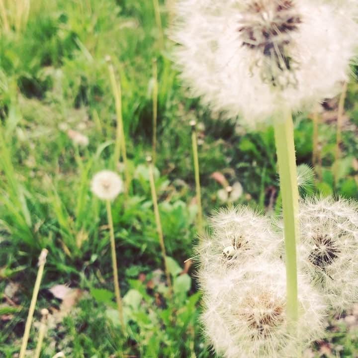 yukaのインスタグラム
