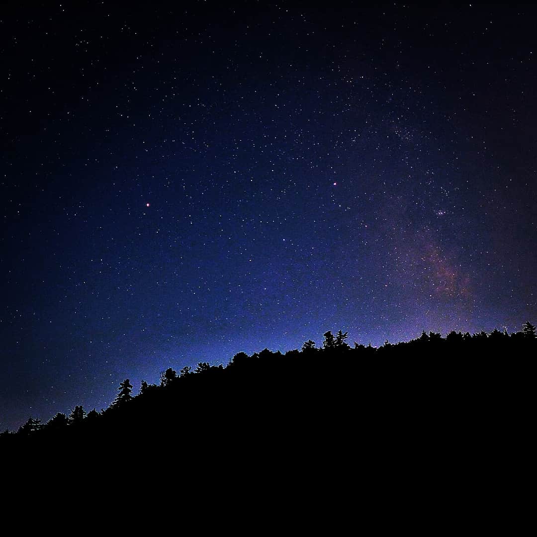 長島慎治さんのインスタグラム写真 - (長島慎治Instagram)「星と苔！  #双子池 #八ヶ岳」5月1日 20時42分 - shing_nagashima