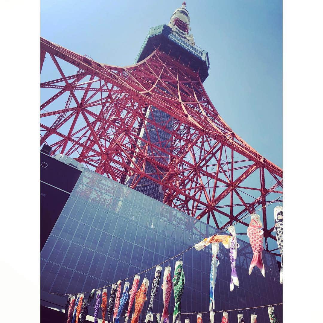森麻季さんのインスタグラム写真 - (森麻季Instagram)「5月🎏 東京タワーの下には鯉のぼりがいっぱい🗼 #一匹群れない子発見 #東京タワー #鯉のぼり #tokyotower  #森麻季」5月1日 14時27分 - maki.mori_m