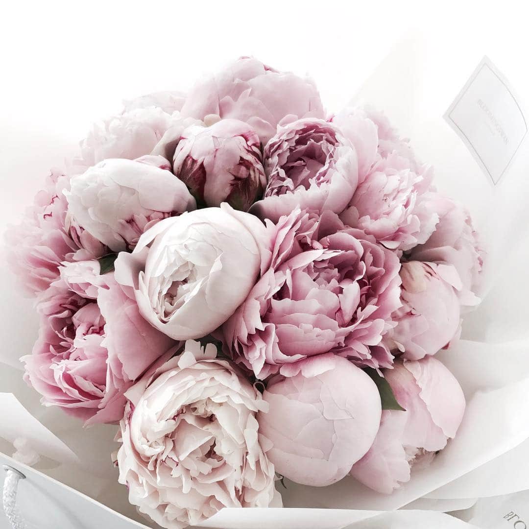 Florist.janeさんのインスタグラム写真 - (Florist.janeInstagram)「오늘 배송나간 #작약꽃다발 #블스느낌 ❤️ #블스어버이날꽃 . . . ☝🏻모든 주문건은 예약제로 받습니다.꽃이 필요한 날 기준으로 3,4일 전 미리 예약주세요😻 ✌🏻주문/ 클래스문의 - janejoung310 카카오톡 (레슨중에는 전화 상담이 어렵습니다. 카카오톡 주시면 빠르게 상담 도와드리겠습니다.) . . . .  #bloomingswan #bloomingswanflower #꽃꽂이 #부케 #논현동꽃집 #florist #flowers #블루밍스완  #블루밍스완플라워 #일상 #꽃배달 #꽃다발  #플라워레슨 #플로리스트 #플라워클래스 #꽃 #꽃스타그램  #플로리스트학원#花#花#花店#花艺师#花束 #花卉研究者 #花商 #花农 #학동역꽃집 #논현동」5月1日 17時15分 - jane.florist