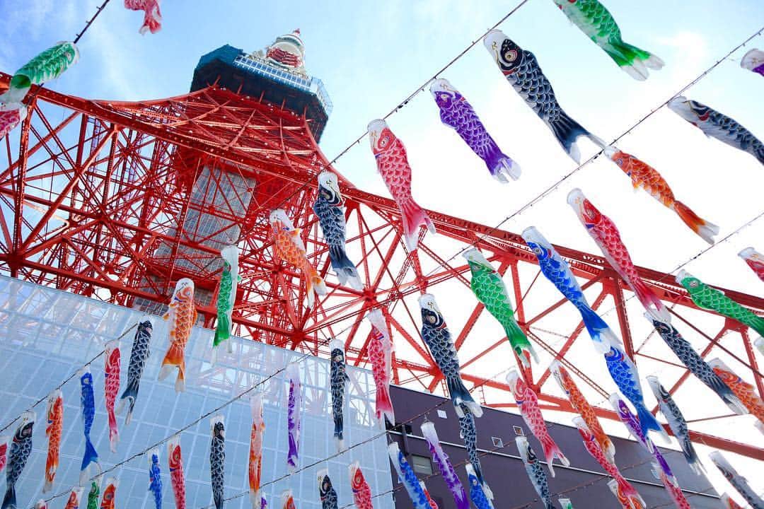 松雪彩花さんのインスタグラム写真 - (松雪彩花Instagram)「屋根より高い鯉のぼり🎏 それより高い東京タワー🗼  #eosm100 #東京タワー #鯉のぼり #暑かった #りなっちと♡」5月1日 22時42分 - ayakamatsuyuki