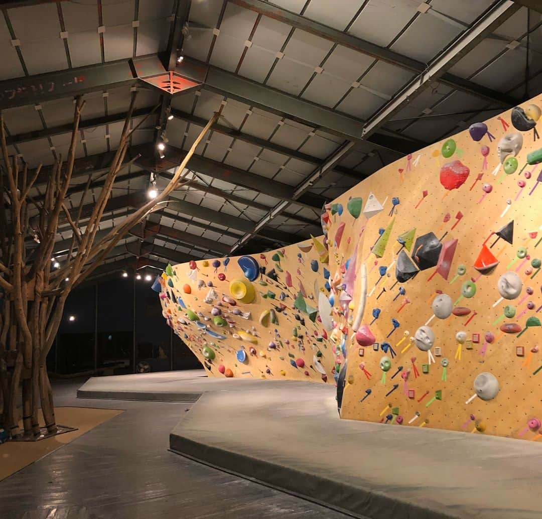 白數里子さんのインスタグラム写真 - (白數里子Instagram)「旅の最後は @flatbouldering !! 旅の疲れで全然登れなかったけど、Flatの心地いい雰囲気に埋もれるようにのんびりとクライミングした。 ・ 平松さんを始め、スタッフの方々の丁寧な接客が素晴らしかったな。やはりそういう所に目がいってしまう。 ・ 夜は平松さんのお宅で、美味しすぎる豪華なご飯😋 遅くまでたくさん話せて、濃い時間が過ごせました。 ケイコさんとも初めてきちんとお会いできて嬉しかった💕 ・ また遊びに行きます☺️」5月1日 23時25分 - satopoppo1124