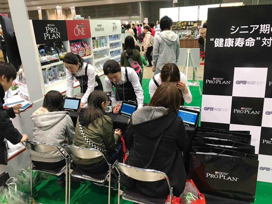 Purina Pro Plan Japanのインスタグラム