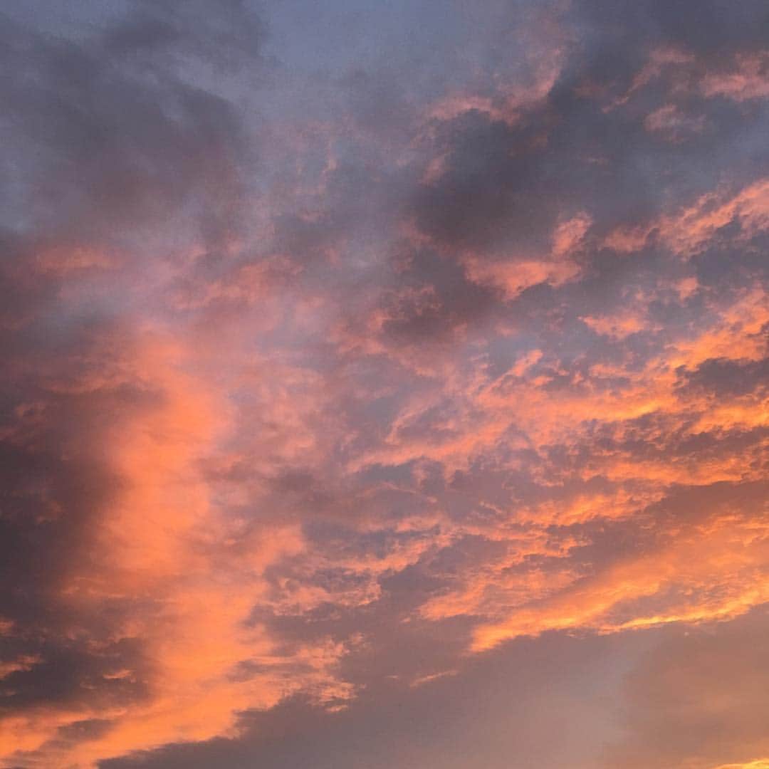 高岡早紀 さんのインスタグラム写真 - (高岡早紀 Instagram)「娘が「お空がピンクだよ」というので、屋上に上がってみた。。 今日ももうすぐ終わりだね。 #夕焼け」5月3日 18時38分 - saki_takaoka