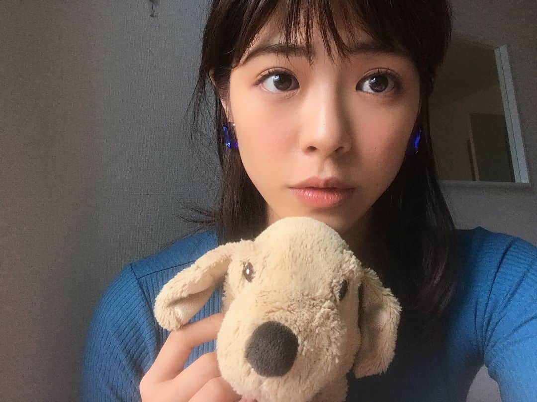 わちみなみのインスタグラム：「青い日でした🛋 犬がだんだん人間に見えてくる🧑」