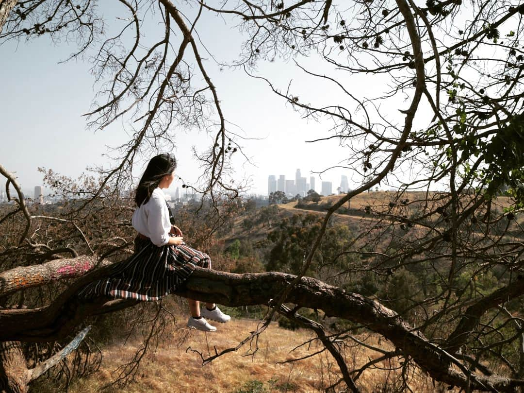 泉ひかり（パルクール）さんのインスタグラム写真 - (泉ひかり（パルクール）Instagram)「Secret Swing and Tree in Los Angeles. 🌿🌲🌳🌴 📸: @89_ask @mari.tama5 . . . . . . .  #california #losangeles  #secretswings #swing #nature #tree #lifeisbeautiful #adventure #landscape #photography #tripphoto #activegirl #trip #ロサンゼルス #ブランコ #留学生活 #旅 #女子旅 #写真旅 #カメラ旅行」5月3日 14時58分 - hhhhi02