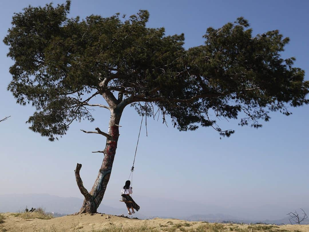 泉ひかり（パルクール）さんのインスタグラム写真 - (泉ひかり（パルクール）Instagram)「Secret Swing and Tree in Los Angeles. 🌿🌲🌳🌴 📸: @89_ask @mari.tama5 . . . . . . .  #california #losangeles  #secretswings #swing #nature #tree #lifeisbeautiful #adventure #landscape #photography #tripphoto #activegirl #trip #ロサンゼルス #ブランコ #留学生活 #旅 #女子旅 #写真旅 #カメラ旅行」5月3日 14時58分 - hhhhi02