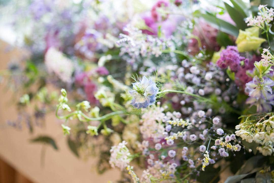 DEFanniversaryのインスタグラム：「👼『#DEF花嫁』のハッシュタグをつけて あなたの素敵な結婚式写真をUPして下さい💛 · 「DEFウェディング」のサイトに 卒業花嫁の記事として掲載されちゃうかも✎*。 · PHOTO by @hajimenoai_wedding · ∞∞∞∞∞∞∞∞∞∞∞∞∞∞∞∞∞∞∞∞ · 結婚式したい！サプライズしたい！ けど内容は未定···でもOK👌☆*: お気軽にLINEください📱💭💕 公式LINE☞@dzd0348z · ∞∞∞∞∞∞∞∞∞∞∞∞∞∞∞∞∞∞∞∞ · みなさまからのいいね！や コメントをお待ちしています✨ DEFウェディング一同より · ∞∞∞∞∞∞∞∞∞∞∞∞∞∞∞∞∞∞∞∞ #DEFウェディング #defanniversary #DEFウエディング #デフアニバーサリー #結婚式 #ウェディング #ウエディング #wedding #ウェディングアイテム #卒花 #プレ花嫁 #花嫁 #日本中のプレ花嫁さんと繋がりたい #全国のプレ花嫁さんと繋がりたい #結婚式準備中 #結婚式準備 #結婚式diy #ウェディングdiy #ウェディングプランナー #ウェディングプロデュース #ウェディングドレス　#結婚式演出 #結婚式場 #結婚式場探し #結婚式場選び #結婚式場見学」