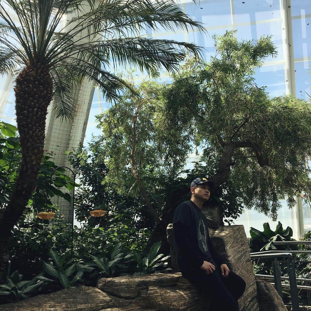 キー・ホン・リーのインスタグラム：「Caption this. #butterfly 🐛🦋 #tbt」