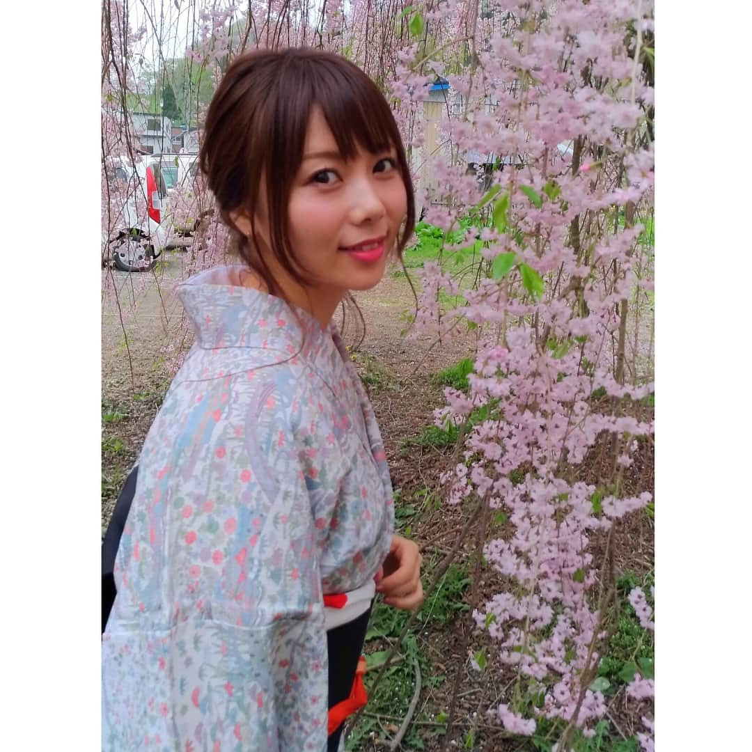 西村季里子さんのインスタグラム写真 - (西村季里子Instagram)「・ GWは休養をとるためにも、 青森の実家へ帰省しています😊 家族と桜を見に、 秋田県の角館の武家屋敷へ🌸 早朝に起きて、母の願いのお着物を着て、 両親とのプチ旅行は幸せでした😌 まだ東北には桜が残っててよかった🌸🌸🌸 #青森出身 #実家 #帰省 #GW  #秋田県 #角館 #武家屋敷 #お花見  #桜 #東北 #お着物 #着物 #kimono  #和服 #日本文化 #家族 #プチ旅行  #親にインスタ映え撮りに行こうって誘われる  #父が撮るとほぼブレる #インスタ萎え  #follow #followme  #instagood」5月4日 22時25分 - kiriko_nishimura