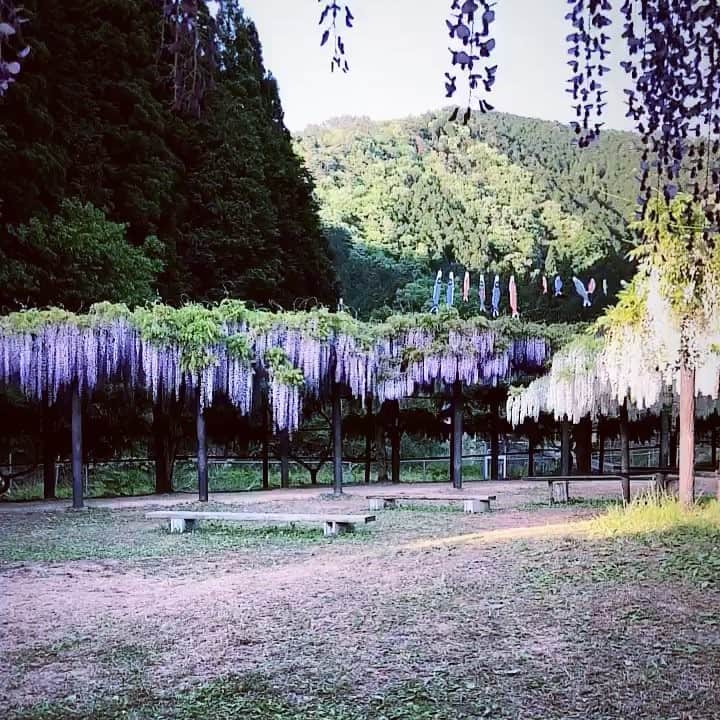 Naomiのグルメインスタ