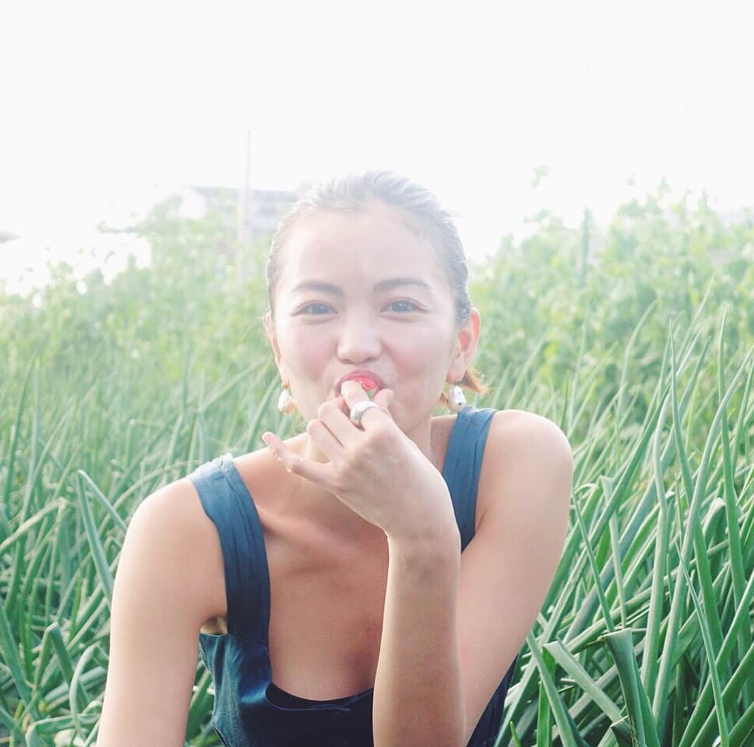 矢野未希子さんのインスタグラム写真 - (矢野未希子Instagram)「畑でイチゴ狩りきたよー♡  甘くてほんとに美味しい！  毎年食べるけど今年のは特別甘い🍓」5月4日 21時39分 - mikko1104
