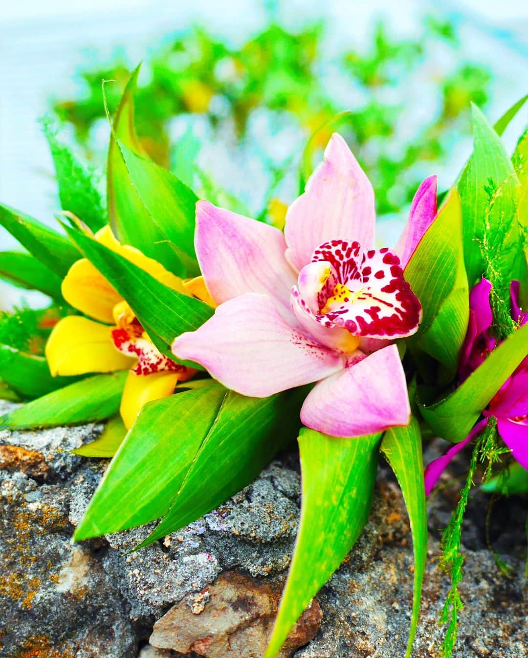 上野なつひさんのインスタグラム写真 - (上野なつひInstagram)「ここの花飾りホント好き🌺 #特注 #hawaii  #昔の写真 #日本にいます #balloons  #なつひhawaiitime」5月5日 0時08分 - natsuhi