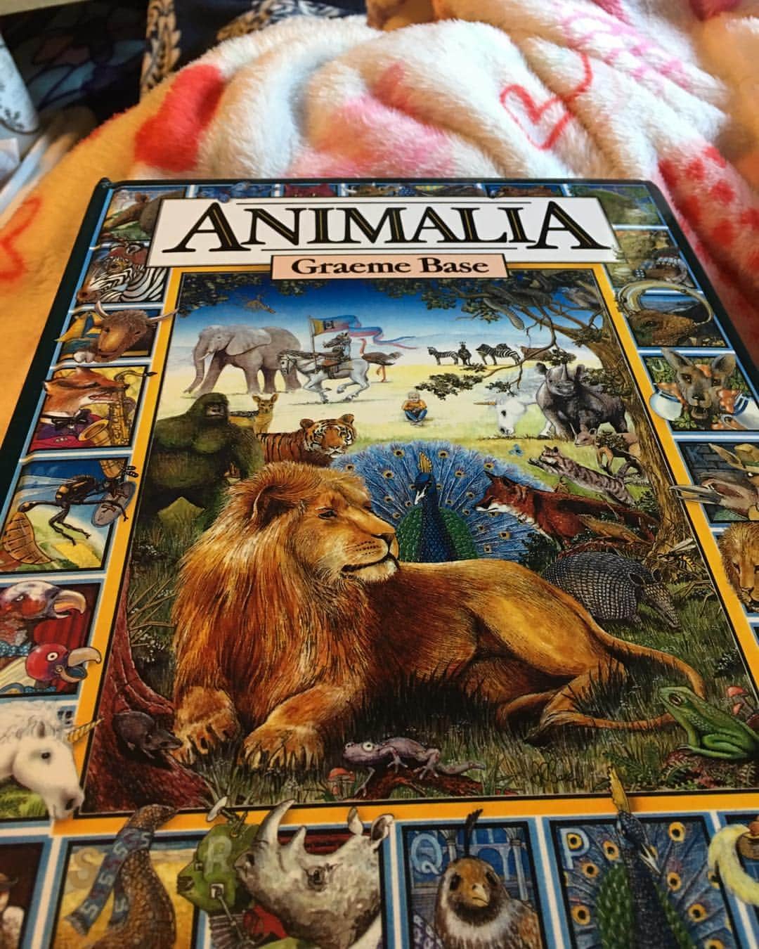 Spangles The Cross Eyed Kittyのインスタグラム：「One of my favorite books!🦋🐺🦁🐻🦄🐶🐱🐹🐯」