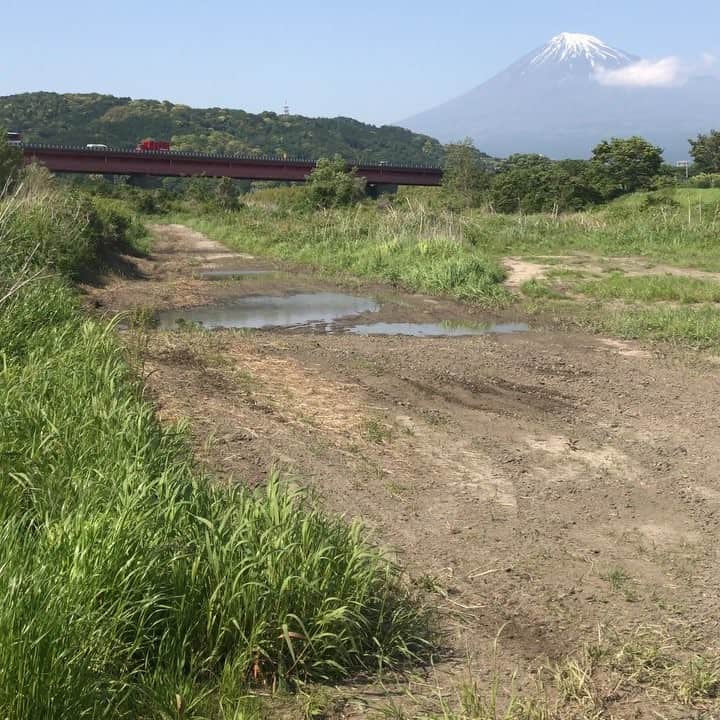 白井鉄也のインスタグラム
