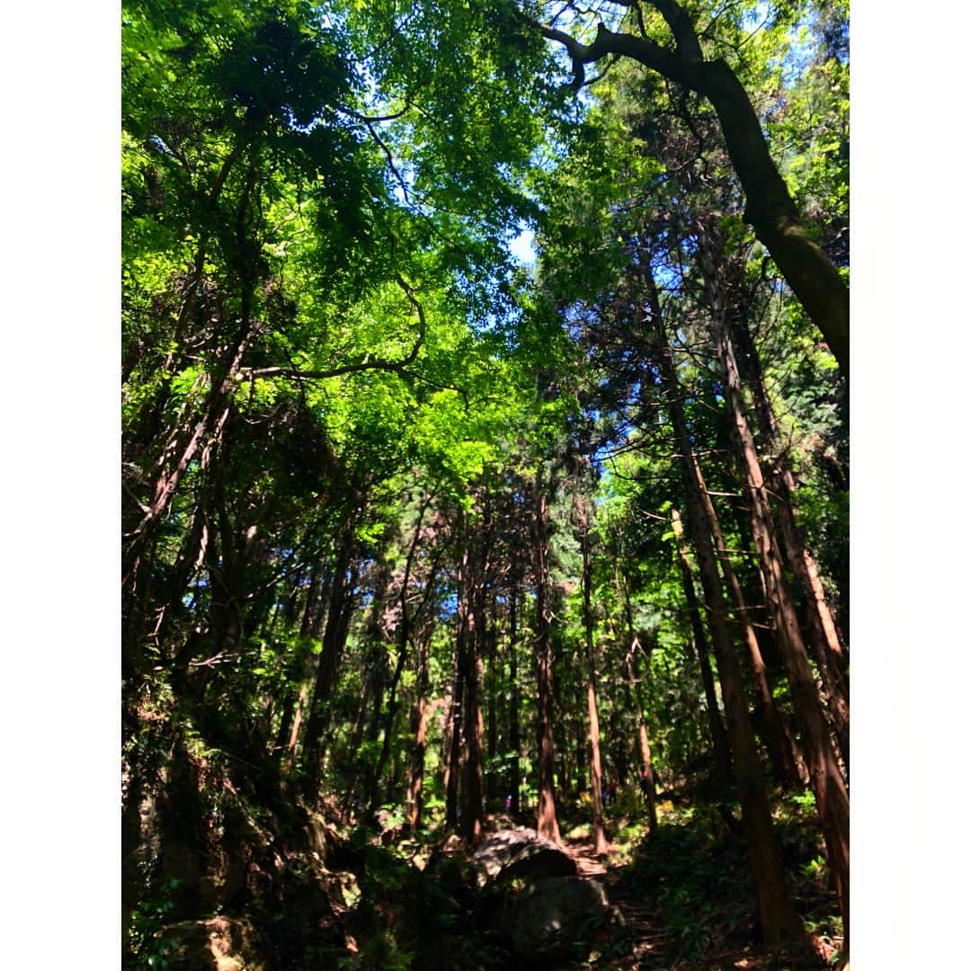 青山草太さんのインスタグラム写真 - (青山草太Instagram)「子供の日の「宝篋山」の景色。 近くには筑波山。 滝もあったけど天気が良くてか？水量がそんなに多くは無かった…でも涼しい空気が体を冷やしてくれました。 田園からスタートするトレッキングも懐かしさと新鮮で楽しかった。  #青山草太#sotaaoyama  #登山#トレッキング#trekking  #日本#japan#茨城#ibaraki  #宝篋山#筑波山 #山頂#summit#景色#scenery  #滝#waterfall #田園#countryside #モンベル#montbell  #ノースフェイス#thenorthface  #ロウアルパイン#lowealpine  #カブー#kavu」5月5日 18時55分 - sotaaoyama