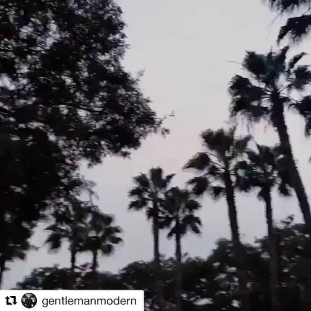 マルコ・ボリエッロのインスタグラム：「Mood 👍🏻 #success」