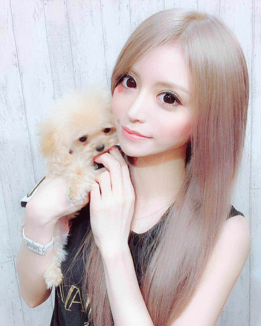 一条響さんのインスタグラム写真 - (一条響Instagram)「👱🏼‍♀️💞🐩 ， ふわです！初めましてよろしくね🐶🍼💛 ， #歌舞伎町#キャバ嬢#フォーティーファイブ#一条響#愛犬#ふわ#妹#ティーカッププードル」5月20日 20時30分 - ichijyo_hibiki