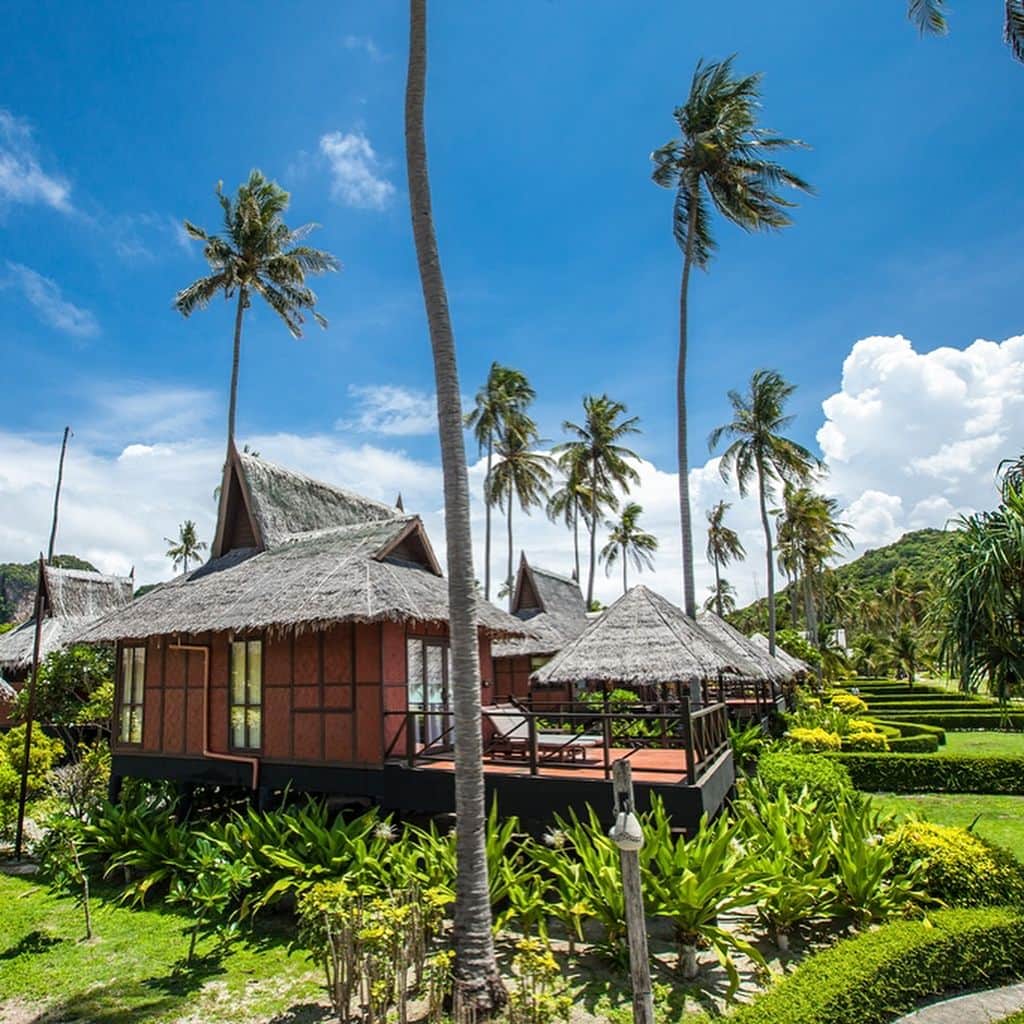 タイ国政府観光庁さんのインスタグラム写真 - (タイ国政府観光庁Instagram)「憧れの楽園ピピ島で、自然に溶けこんだバンガローへ✨﻿ ﻿ 「ピピアイランド ビレッジ ビーチリゾート @phiphiislandvillage 」は、ピピドン島のローバガオベイに位置する全室バンガロータイプのリゾートホテル。ホテルの敷地内には、ココナツの木が生い茂り200余りのバンガローが点在しています🏝﻿ ﻿ ターコイズブルーの海と真っ白な砂浜を有するプライベートビーチの前には巨大なプールが！アンダマン海を十分に満喫できるリゾートです✨﻿ ﻿ #タイ #プーケット #ピピ島 #ピピドン島 #ピピアイランドビレッジビーチリゾート #楽園 #バンガロー #タイリゾート #タイビーチ #ホテル #タイ旅行 #旅好きな人と繋がりたい #はじめてのタイ #もっと知りタイ #こんなタイ知らなかった #thailand #phuket #phiphiisland #phiphiislandvillage #thaibeach #thairesort #hotel #thaihotel #amazingthailand #thailandtravel #thailandtrip #thai #thaistagram #instabeach #lovethailand」5月20日 20時45分 - amazingthailandjp