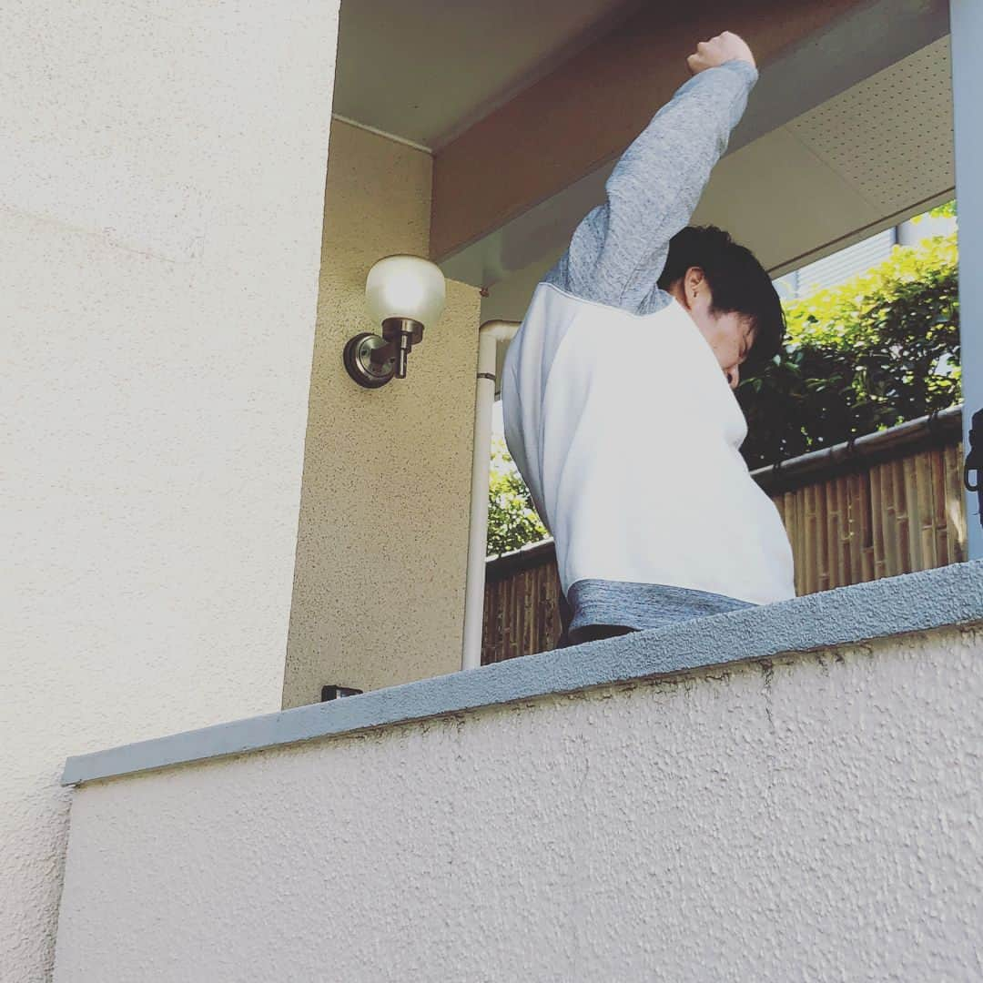 おっさんずラブ 武蔵の部屋さんのインスタグラム写真 - (おっさんずラブ 武蔵の部屋Instagram)「そんなわけで朝です。おはようみんな、おはよう小鳥さん！ 休日ですが俺は出勤日なのでTK不動産に向かう途中に、おおおおおっと、はるたん発見です☺️✨ #何度も言うようですが #自宅からの会社への通り道なんです #にしてもはるたんの寝起き姿 #あえて改めて言わせて頂こう #存在が罪ぃぃいいいいい‼️ #腹チラ神ぃぃいいいいい‼️ #ちなみになぜこんなにテンションが高いかというと #昨日会社でショックな出来事があったからです #付き合ってるって何 #ねえ何なの #でもめげないお #戦うお #マジMなんかに負けねぇから🔥」5月20日 13時21分 - musashis_room