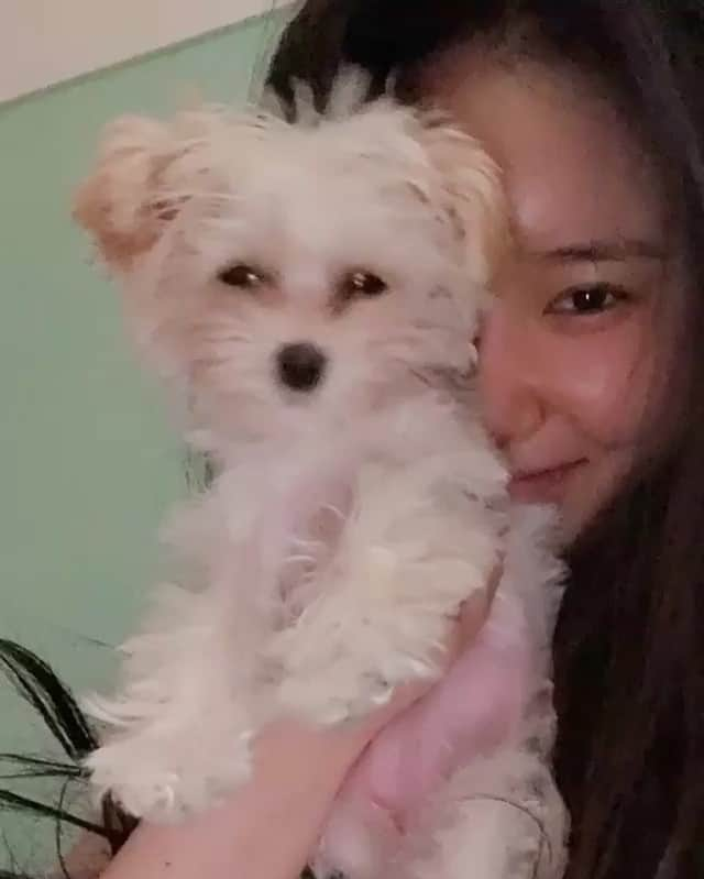 ミニョンのインスタグラム：「180520 Minyoung with YamYam 🐶 @nyong2yam @yam2da — #브레이브걸스#BraveGirls#Minyoung#민영#Hayun#하윤#Yujeong#유정 #은지 #Eunji #Yuna #유나 #Hyeran #혜란 #Kpop #케이팝 #kpoplfl #girlgroup #lfl #girlsgeneration #redvelvet #blackpink #twice #레드벨벳#블랙핑크#트와이스」